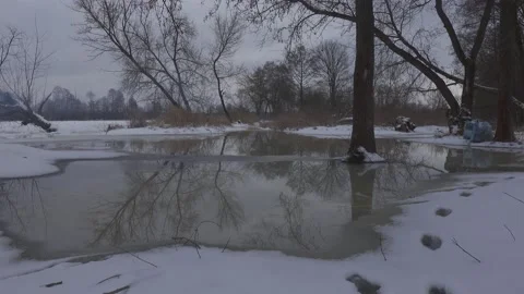 Winter landscape Video stock 148442084