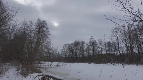 Winter landscape Stock Footage 148442411