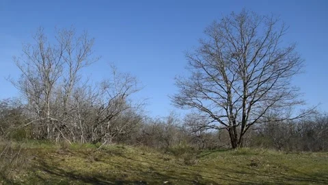 Winter landscape Stock Footage 149080359