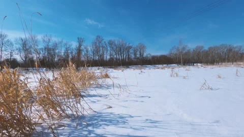 Winter landscape Stock Footage 149566487