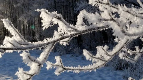 Winter Landscape Stock Footage 168184286