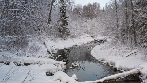 Winter landscape Stock Footage 169699819