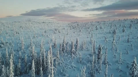 Winter Landscape Stock Footage 228483077