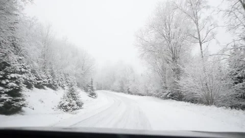 Winter landscape. Video stock 256035904