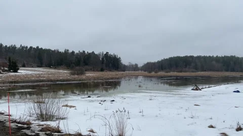 Winter landscape Stock Footage 256105535