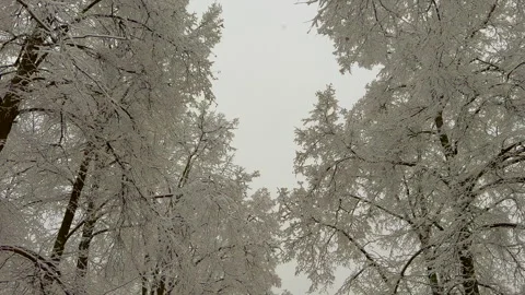 Winter landscape Stock Footage 296650318