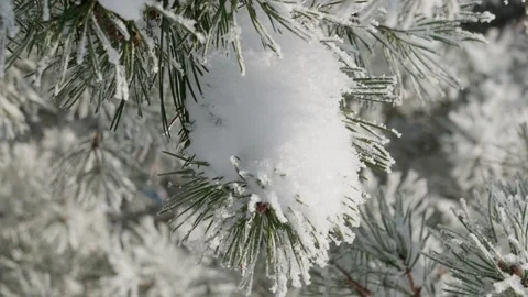 Winter landscape Stock Footage 333363322