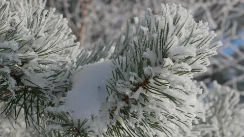 Winter landscape Video stock 333363363