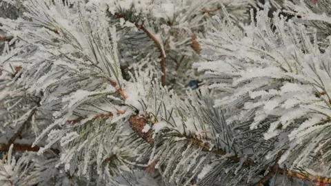 Winter landscape Video stock 333363651