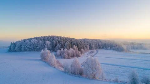 Winter landscape with forest and meadow covered with snow Stock Photos