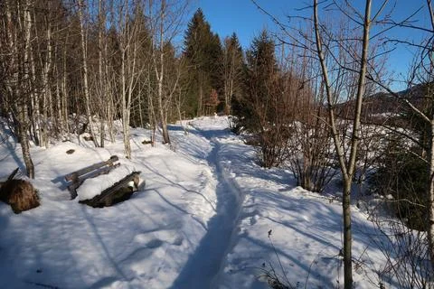 Winter landscape, forest, bench and path covered in snow, Wertach, Allgau, Ge Foto stock
