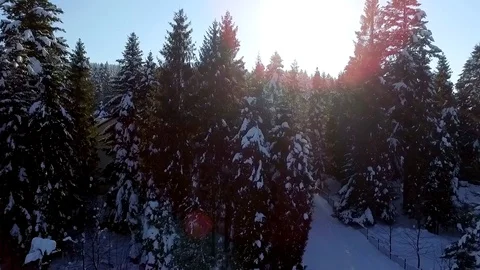 Winter landscape of forest by drone Stock-Footage 129421884