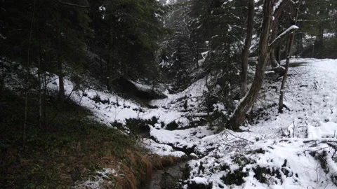 Winter landscape in the forest high in the mountains, camera panorama from the Stock-Footage 233495557