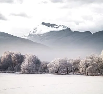 Winter landscape forest mountains in the background Stock Photos