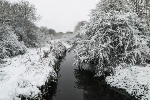 Winter landscape in a forest park with trees covered with snow. Stock Photos