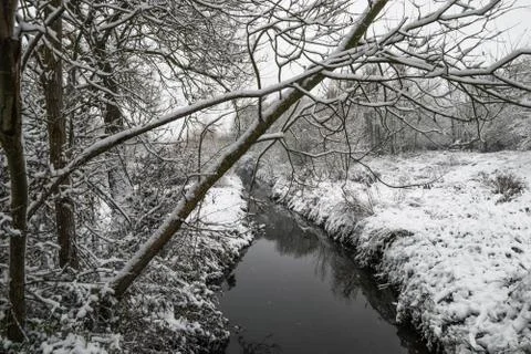 Winter landscape in a forest park with trees covered with snow. Stock Photos