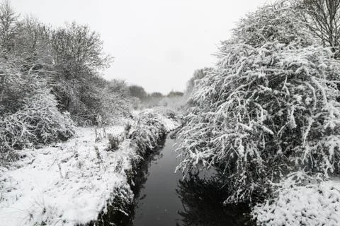 Winter landscape in a forest park with trees covered with snow. Stock Photos