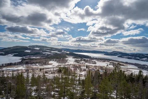 Winter landscape with forest, pine trees covered snow and seaside mountains. Stock Photos
