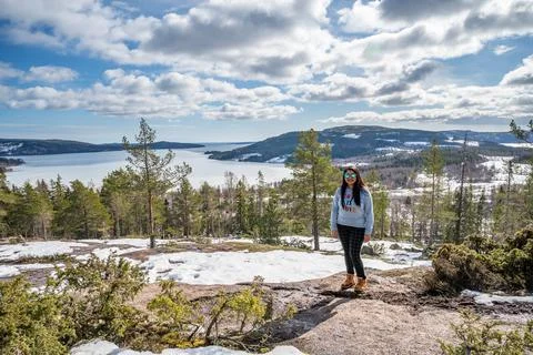 Winter landscape with forest, pine trees covered snow and seaside mountains.  Stock Photos