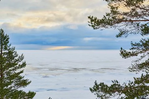 Winter landscape with a frame of coniferous tree branches Stock Photos