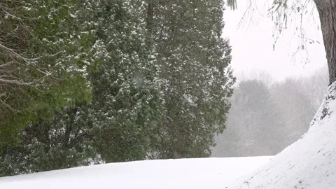 Winter landscape, fresh snow, first snow, winter travel. Stock-Footage 257455731
