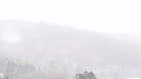 Winter landscape, fresh snow, first snow, winter travel. Stock Footage 257456654