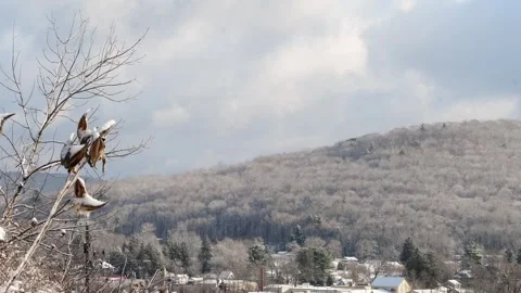 Winter landscape, fresh snow, first snow, winter travel. Stock Footage 257942146