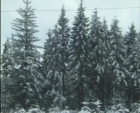 Winter landscape in germany 스톡 동영상 559677