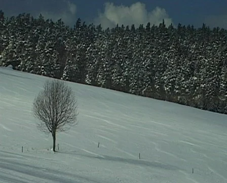 Winter landscape in germany 스톡 동영상 559688