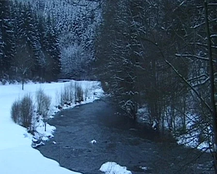 Winter landscape in germany 库存影片 559704