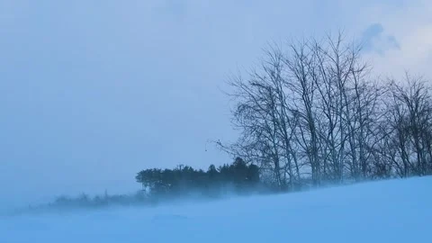 Winter landscape with ground snowflakes. 動画素材 313736605