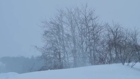 Winter landscape with ground snowflakes. 動画素材 313736619