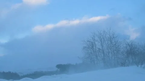 Winter landscape with ground snowflakes. 動画素材 313736626