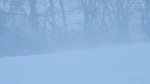 Winter landscape with ground snowflakes. 動画素材 313736641