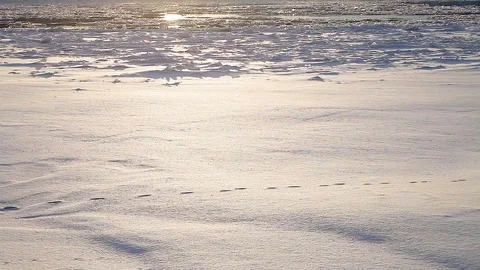 Winter landscape ice drift on the river snow drifts evening light at sunset Stock Footage 95805927