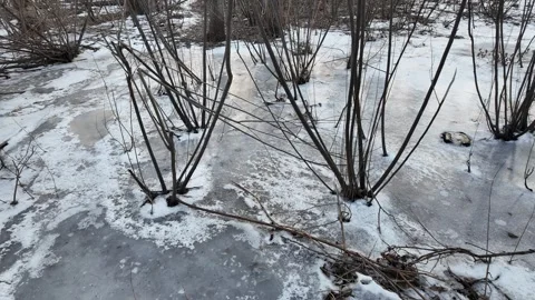 Winter landscape with ice on the river. Cracked ice on the lake. Frosty win.. Video stock 303048743