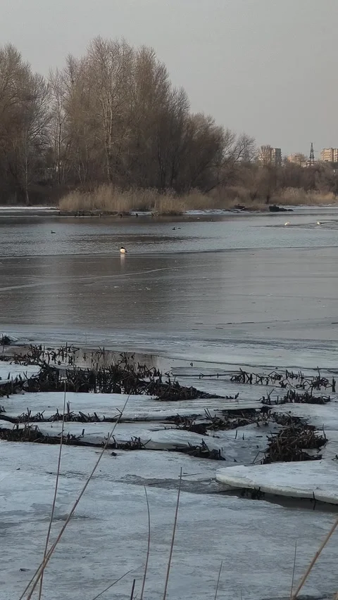 Winter landscape with ice on the river. Cracked ice on the lake. Frosty win.. Video stock 303048757