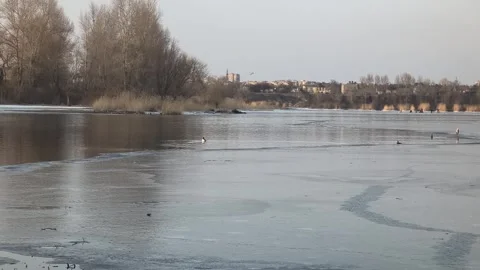 Winter landscape with ice on the river. Cracked ice on the lake. Frosty win.. Video stock 303048855