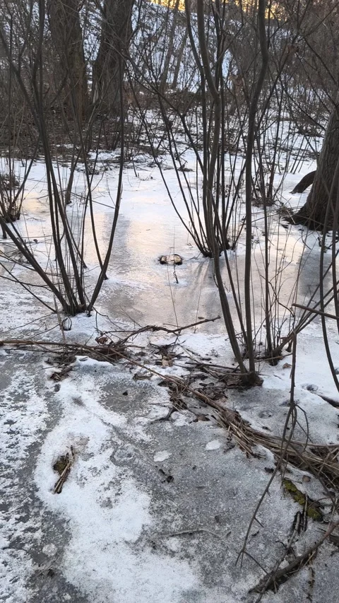 Winter landscape with ice on the river. Cracked ice on the lake. Frosty win.. Video stock 303049047