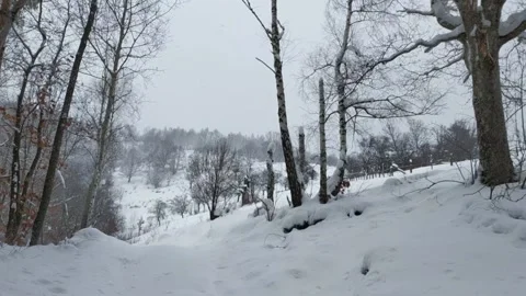 Winter landscape with large flakes falling to the ground at the edge of a de Stock Footage 145938221