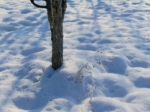 Winter landscape in Maramures county Photos