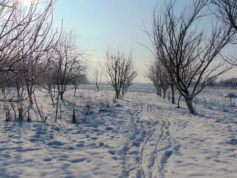 Winter landscape in Maramures county Фото