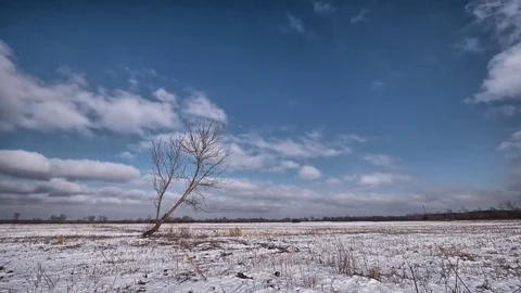 Winter landscape. Meadow/ field covered in snow. Vídeo Stock 72891531