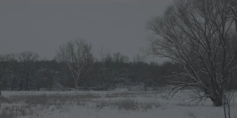 Winter Landscape Midwest Bundle 1 Stock Footage 221786769