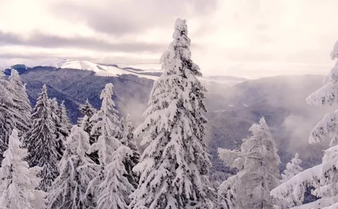 Winter landscape. Mountain forest covered with snow. Aerial View. Stock Footage 150583711