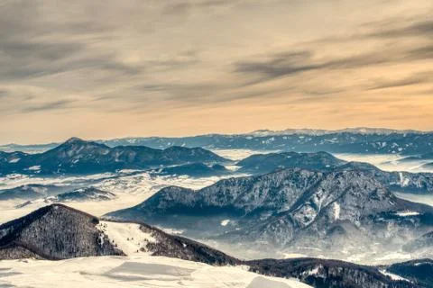 Winter landscape with a mountain forest. Stock Photos