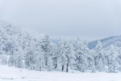 Winter landscape of the mountain. Foto stock