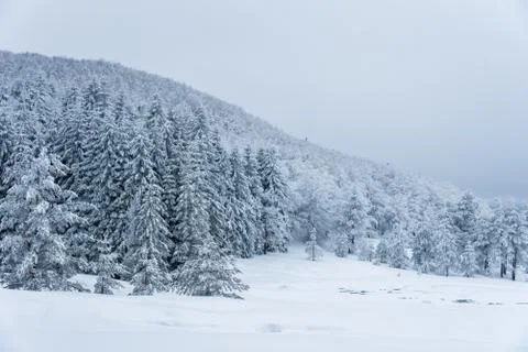 Winter landscape of the mountain. Stock Photos