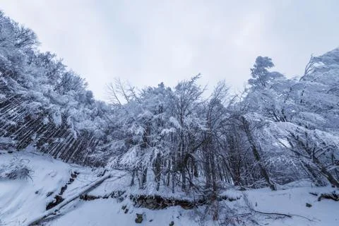 Winter landscape of the mountain. Stock Photos