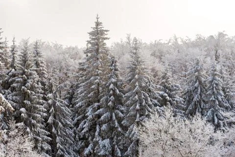 Winter landscape of the mountain. Stock Photos